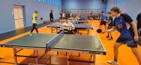 Tenis stołowy