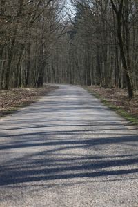 Droga przed rozbudową