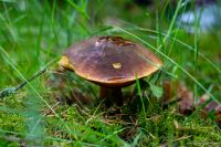 photo-14