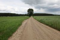 Odbiór drogi relacji Lutówko - Lutowo
