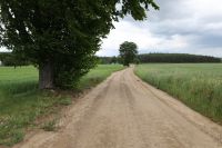 Odbiór drogi relacji Lutówko - Lutowo