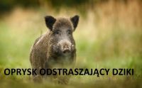 oprysk odstraszający dziki