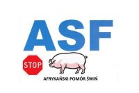 ZATRZYMAJ AFRYKAŃSKI POMÓR ŚWIŃ