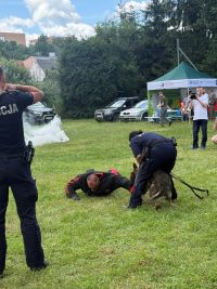 Festyn z okacji Dnia Policji