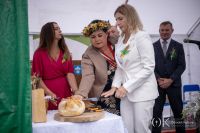Dożynki w Dąbrowie