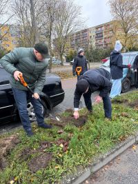 Akcja sadzenia drzew