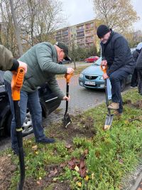 Akcja sadzenia drzew