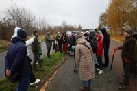 Akcja sadzenia drzew