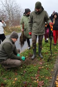 Akcja sadzenia drzew