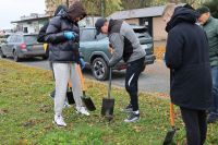 Akcja sadzenia drzew