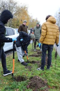 Akcja sadzenia drzew