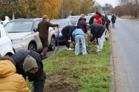 Akcja sadzenia drzew