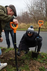 Akcja sadzenia drzew