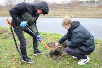 Akcja sadzenia drzew