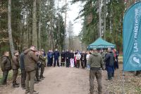 Sadzenie lasu Adamowo