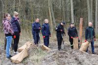 Sadzenie lasu Adamowo