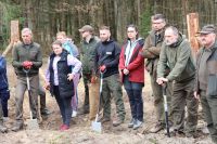 Sadzenie lasu Adamowo