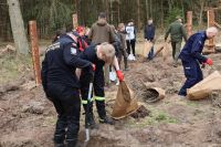 Sadzenie lasu Adamowo