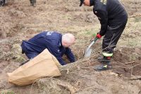 Sadzenie lasu Adamowo