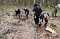 Sadzenie lasu Adamowo