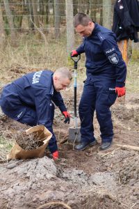 Sadzenie lasu Adamowo