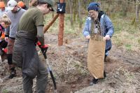 Sadzenie lasu Adamowo