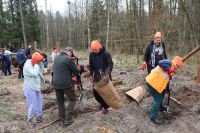 Sadzenie lasu Adamowo