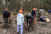 Sadzenie lasu Adamowo