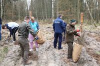 Sadzenie lasu Adamowo