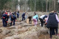 Sadzenie lasu Adamowo