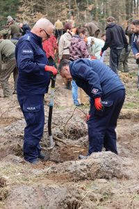 Sadzenie lasu Adamowo