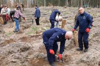 Sadzenie lasu Adamowo