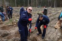 Sadzenie lasu Adamowo