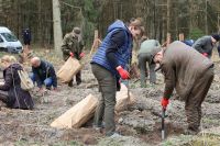 Sadzenie lasu Adamowo