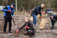 Sadzenie lasu Adamowo