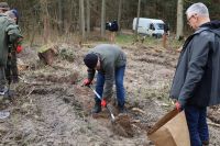 Sadzenie lasu Adamowo