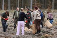 Sadzenie lasu Adamowo