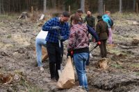 Sadzenie lasu Adamowo