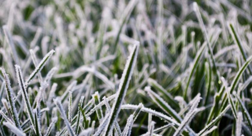 Ostrzeżenie meteorologiczne - przymrozki