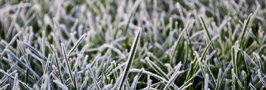Ostrzeżenie meteorologiczne - przymrozki
