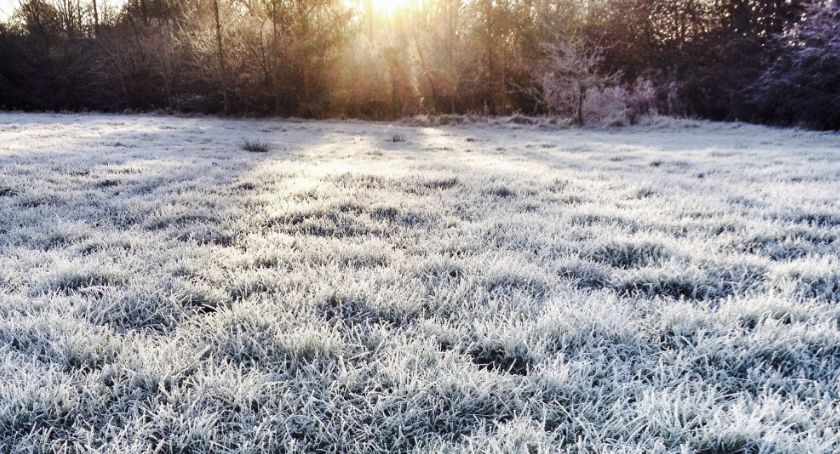 Ostrzeżenie meteorologiczne - przymrozki