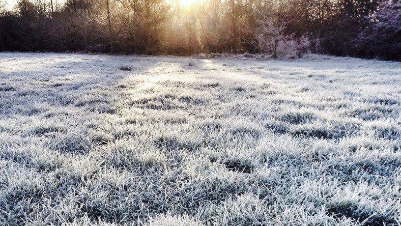 Ostrzeżenie meteorologiczne - przymrozki