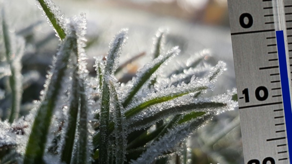 Ostrzeżenie meteorologiczne - przymrozki