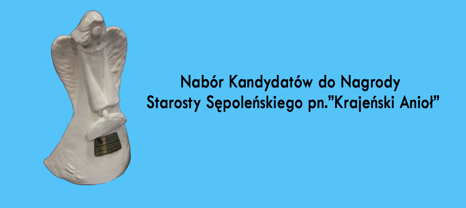 Nabór Kandydatów do Nagrody Starosty Sępoleńskiego pn. "KRAJEŃSKI ANIOŁ" za rok 2019