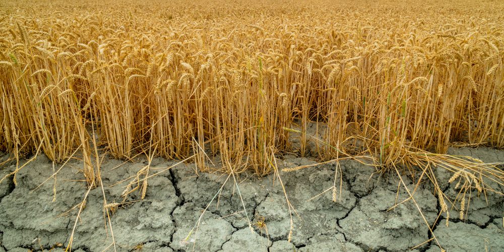 Ostrzeżenie hydrologiczne - susza hydrologiczna