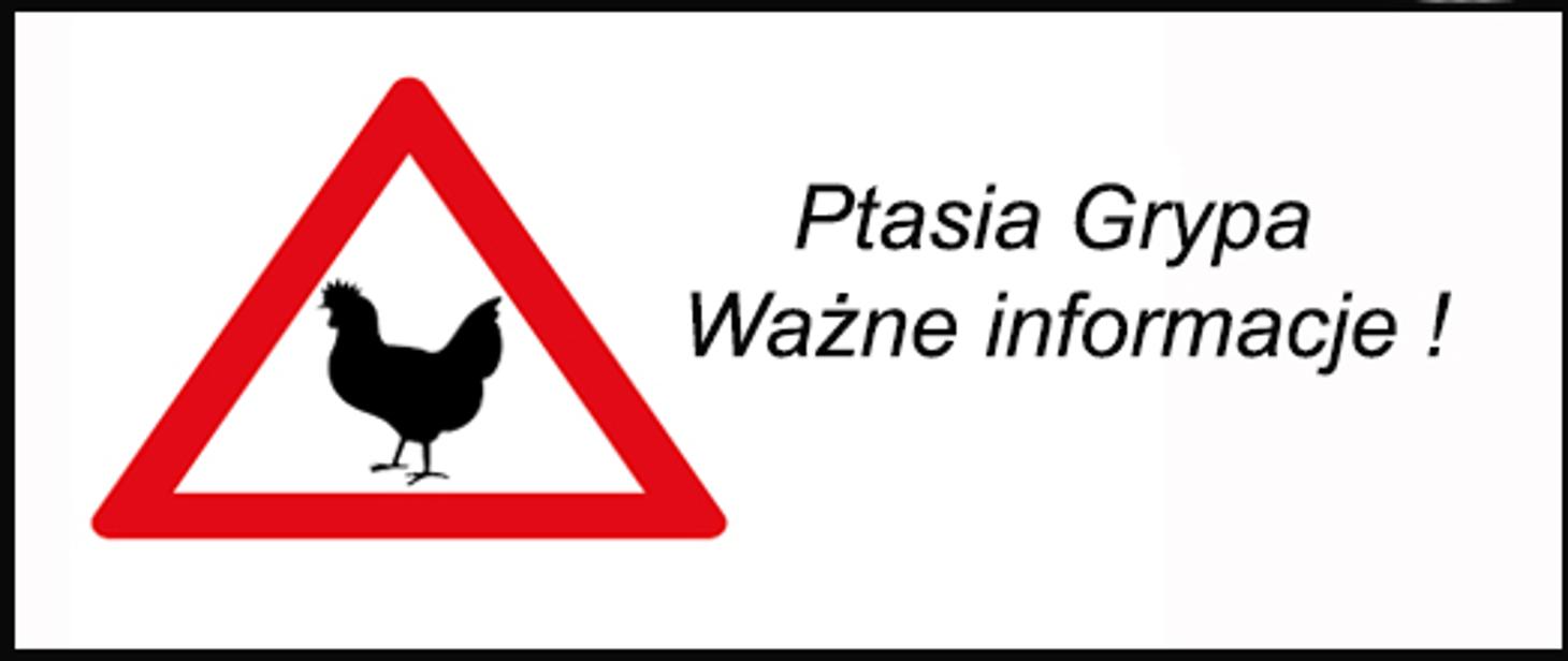 Ptasia grypa! Ważne informacje!