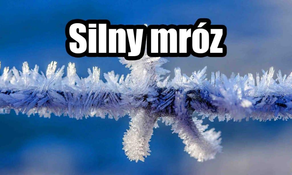 Ostrzeżenie meteorologiczne - silny mróz