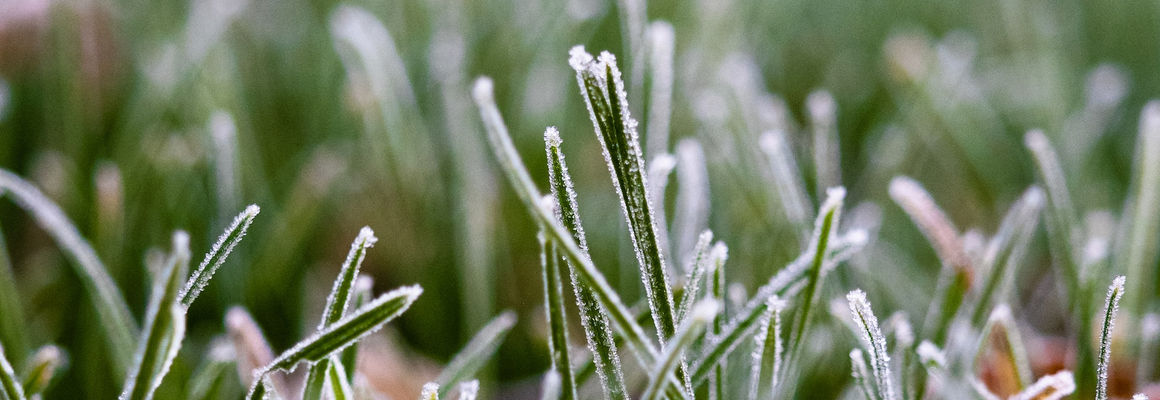 Ostrzeżenie meteorologiczne: przymrozki