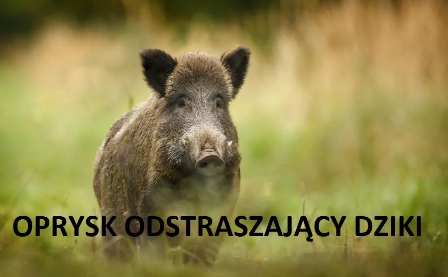 Uwaga! Oprysk odstraszający dziki!
